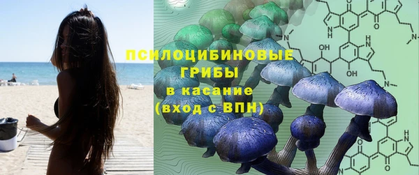 прущая мука Баксан