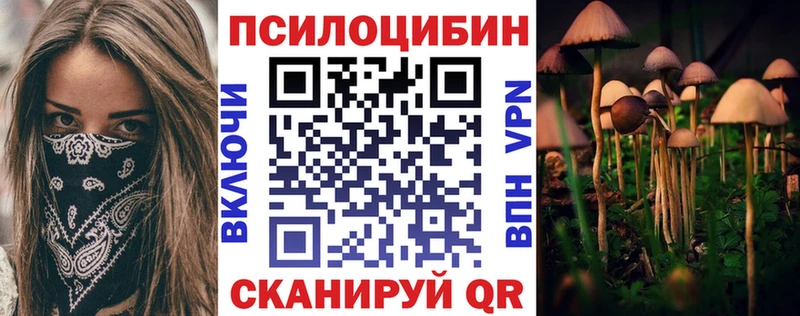 купить   MEGA онион  Галлюциногенные грибы Psilocybine cubensis  Нерчинск 