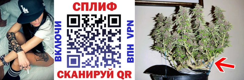 цена наркотик  Нерчинск  Каннабис индика 
